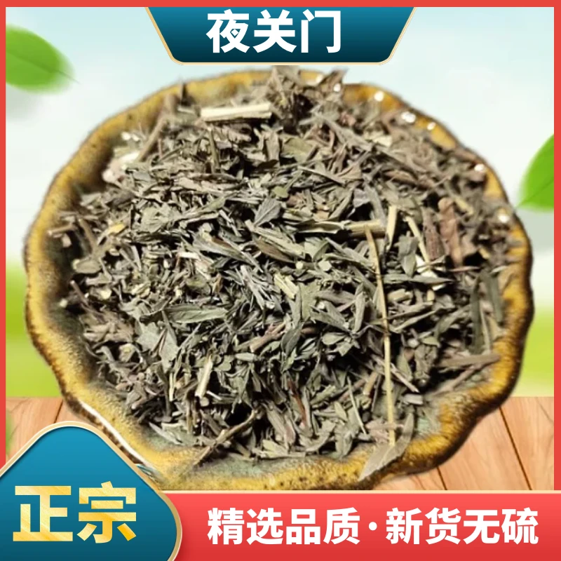 野生夜关门精选铁扫帚正宗野鸡草新鲜干货包邮250g-1000g散装叶菜