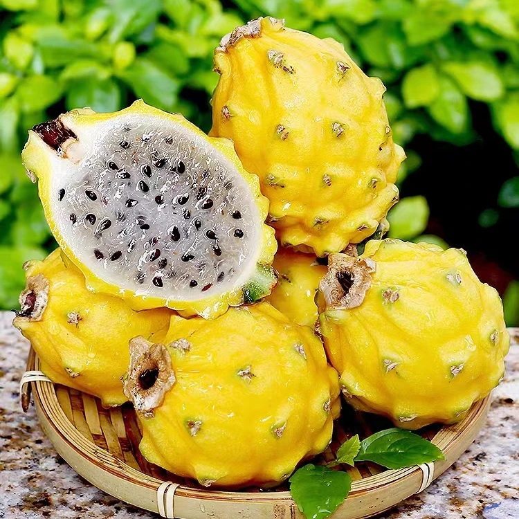 【顺丰包邮】燕窝果麒麟果黄火龙果清甜多汁新鲜当季水果坏果包赔
