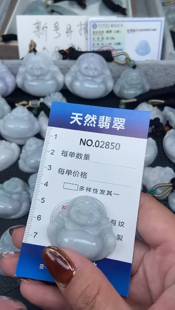 颈饰未镶嵌翡翠纯天然A货翡翠2850