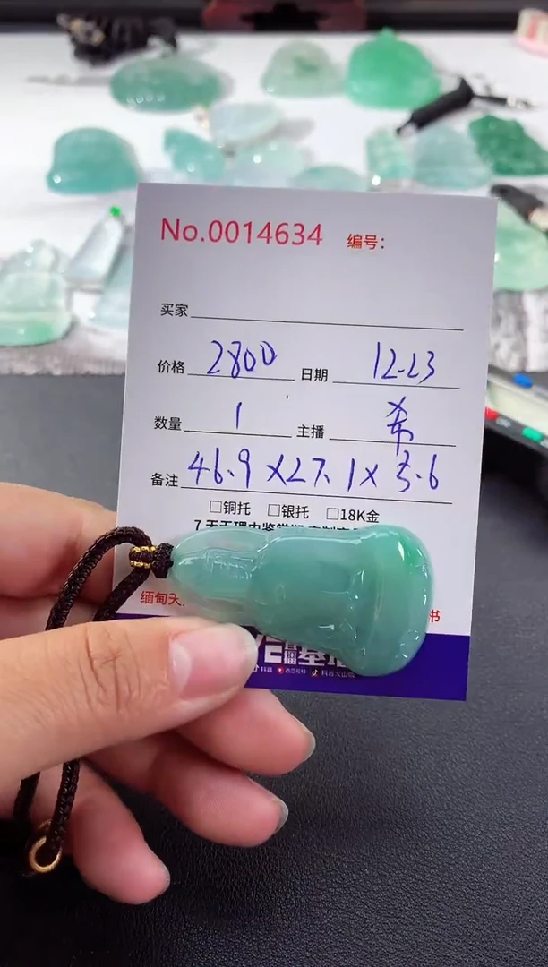 颈饰未镶嵌翡翠素衣