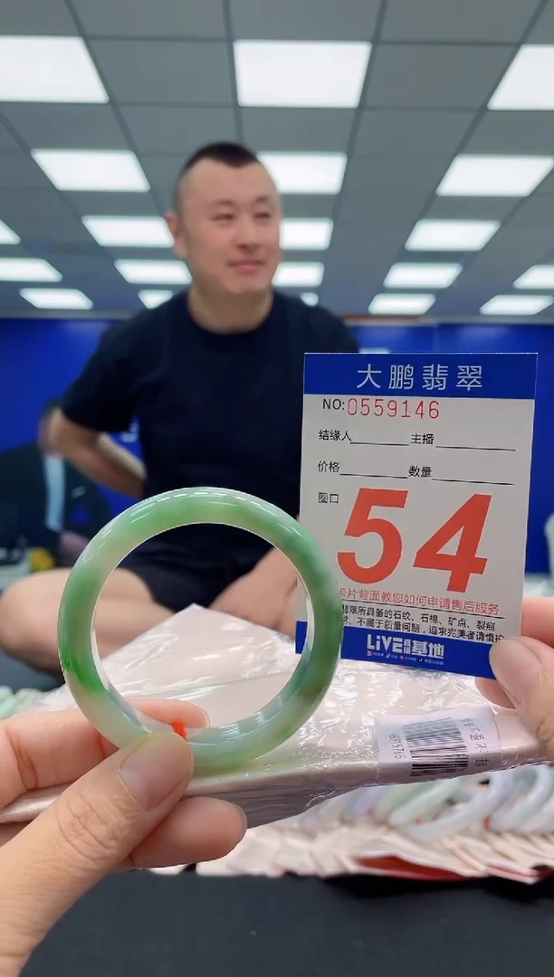 未镶嵌手镯翡翠AAAAAAAAA