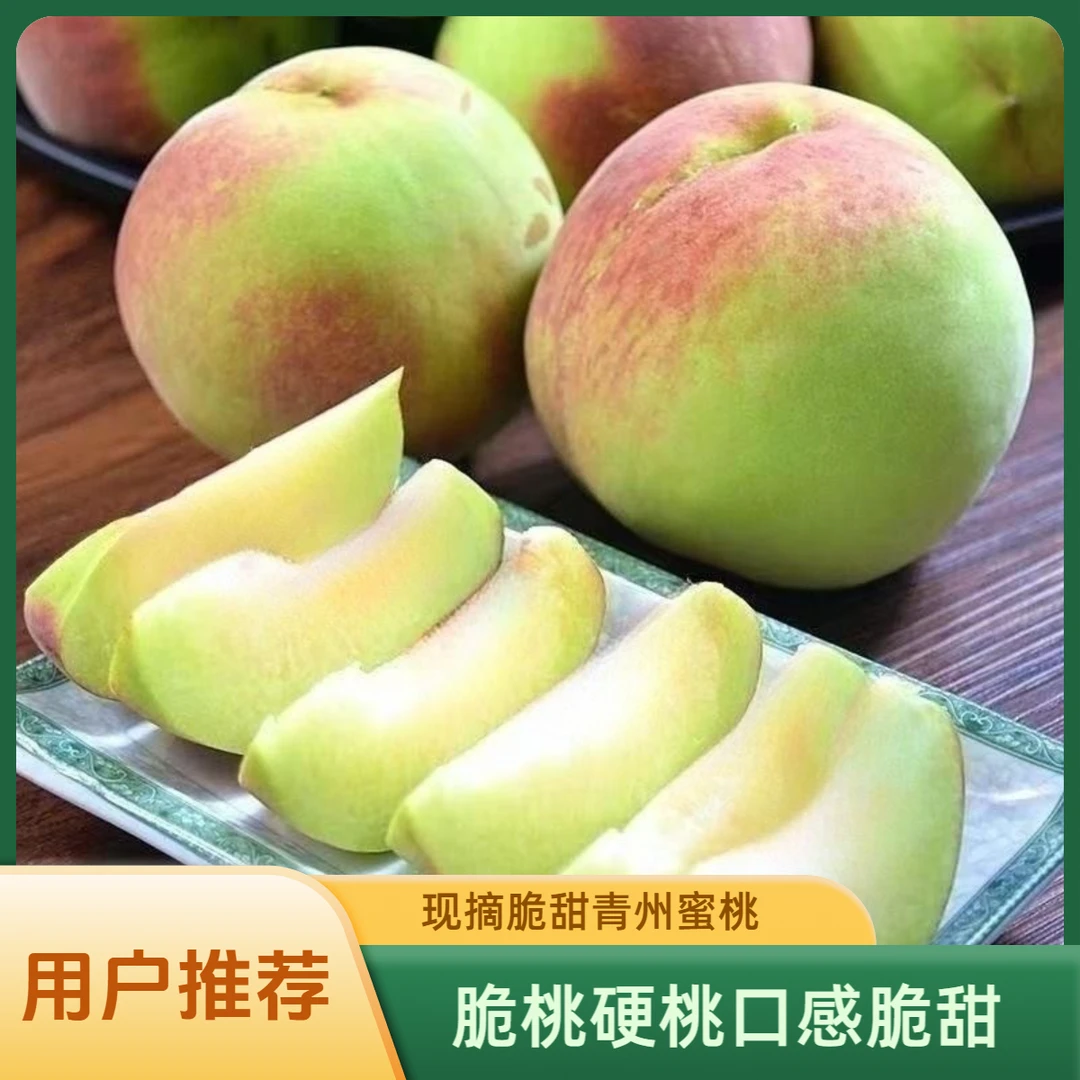 脆桃硬桃毛桃脆甜非水蜜桃脆爽现摘青州蜜桃桃子新鲜硬脆应季水果