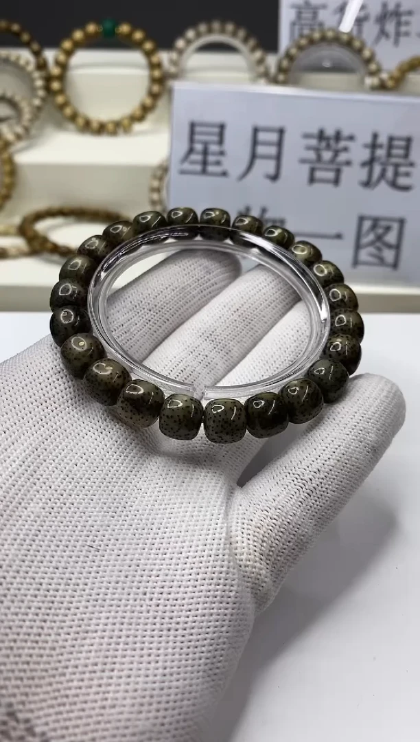 手串星月菩提一物一图-W10-173