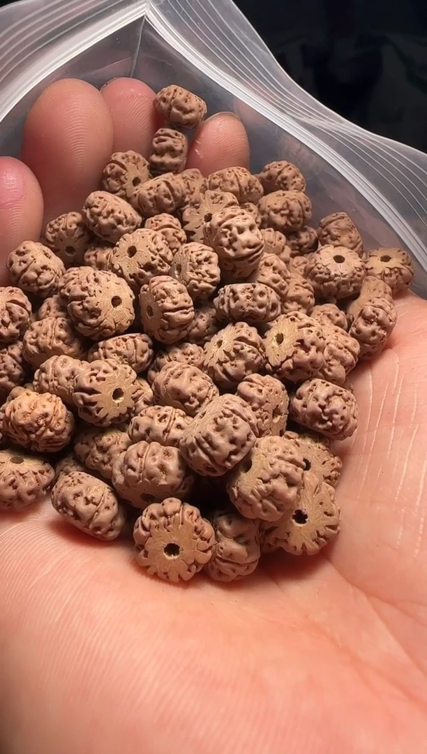 手串金刚菩提非全品龙切老树王散籽9-10mm一份一百颗