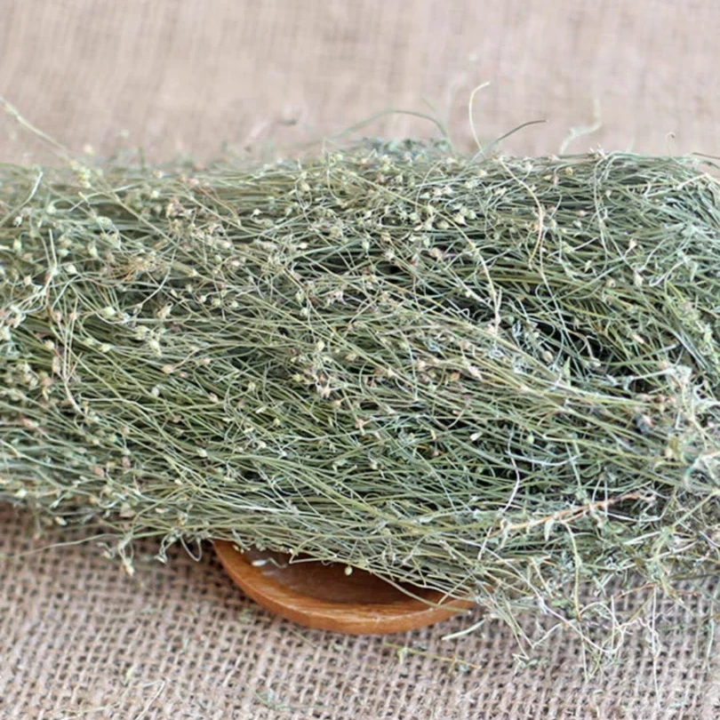 【潮汕妙妙】左上角福袋有四叶莲参与成功离开无效