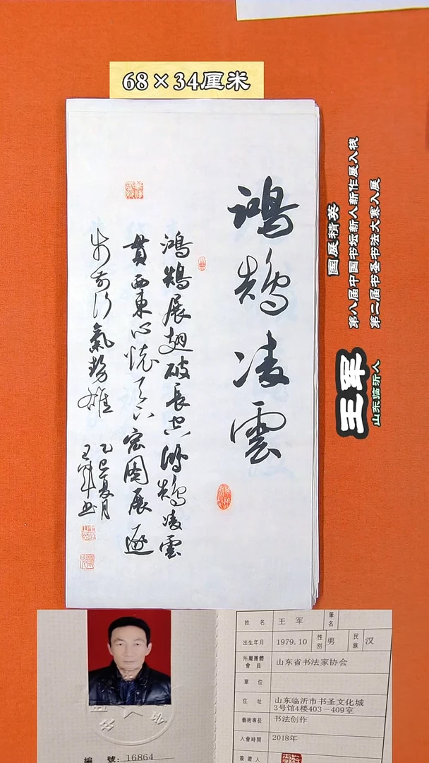 书法48D王军书法作品