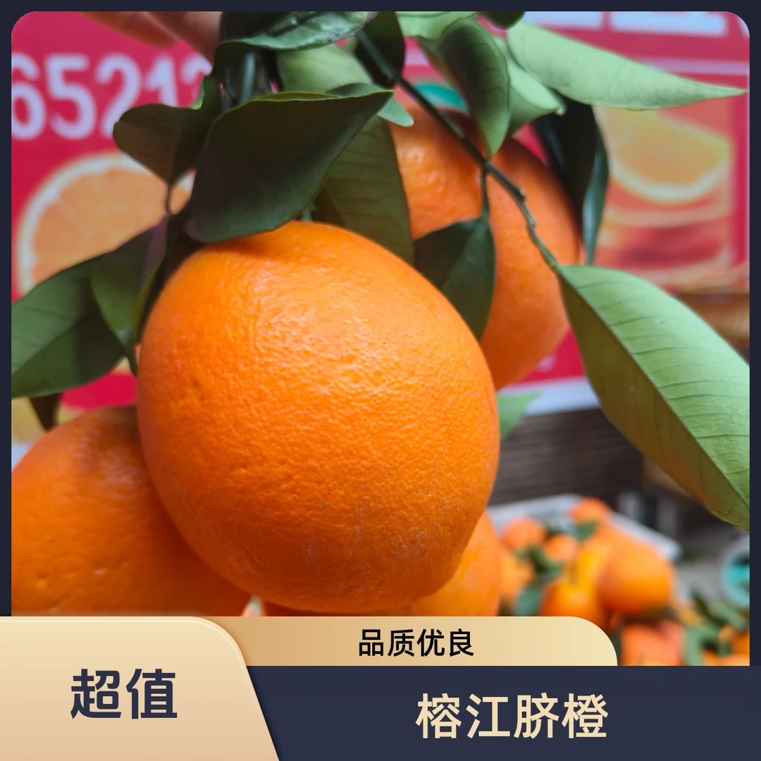 榕江脐橙个大多汁