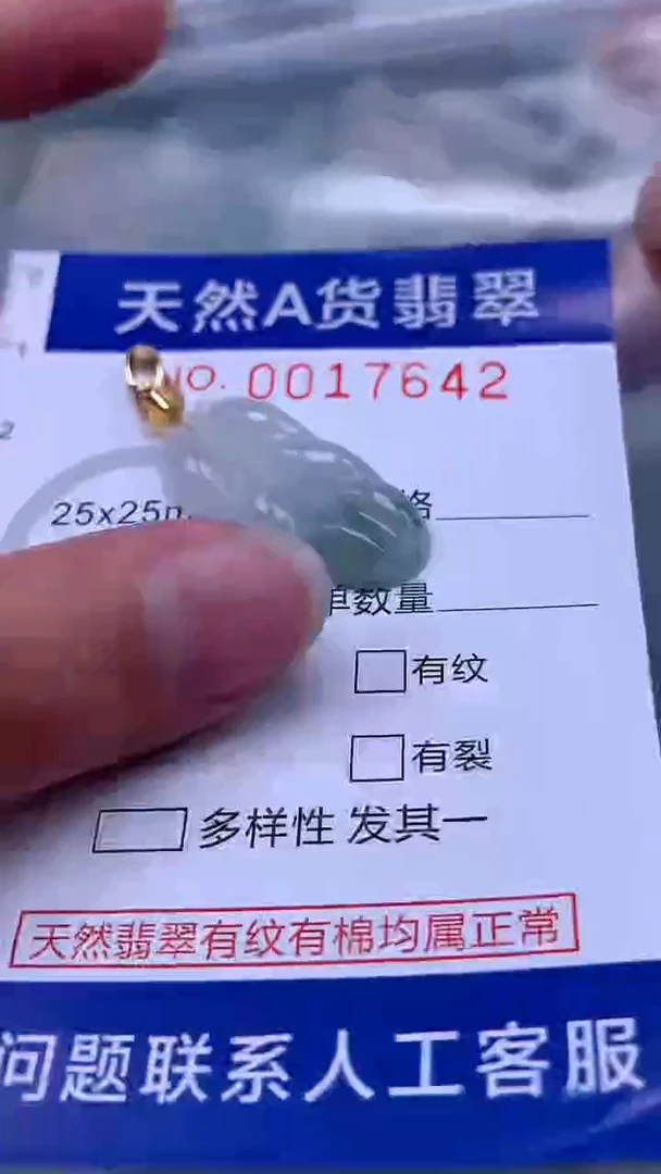 翡翠未镶嵌吊坠(不含链)1