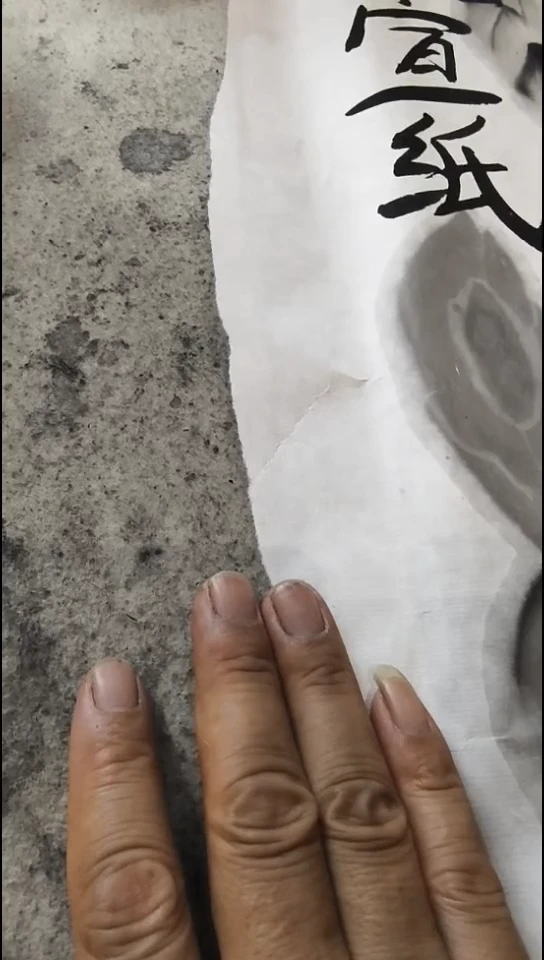 有**田六尺 定制版 特净/30张