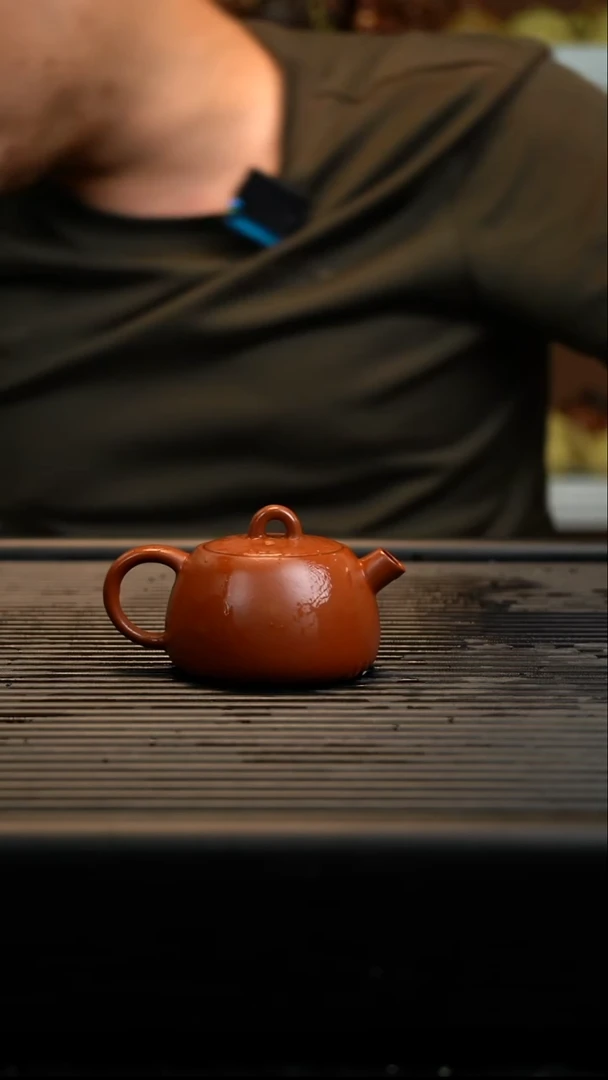 茶壶紫砂紫砂壶21