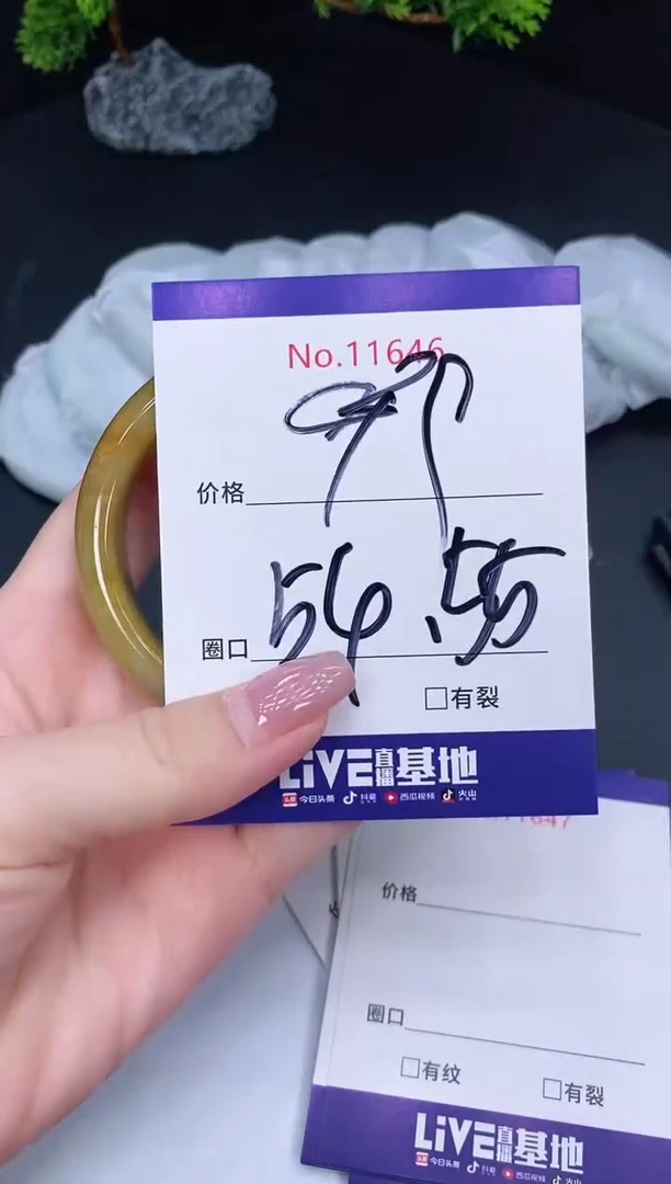 未镶嵌手镯翡翠11646