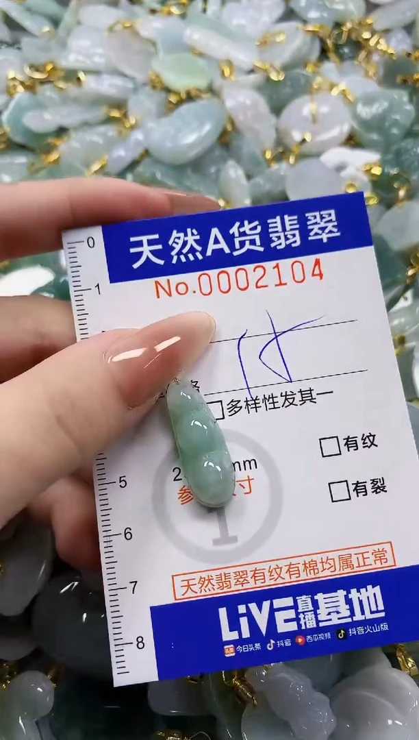 颈饰未镶嵌翡翠天然A货翡翠