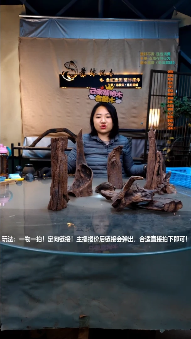 摆件景沐沉木H961 景沐沉木H961