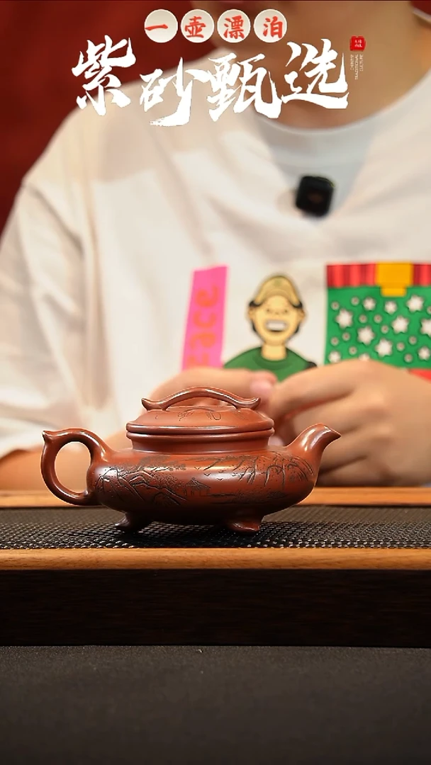 茶壶紫砂 一壶漂泊紫砂茶器1316