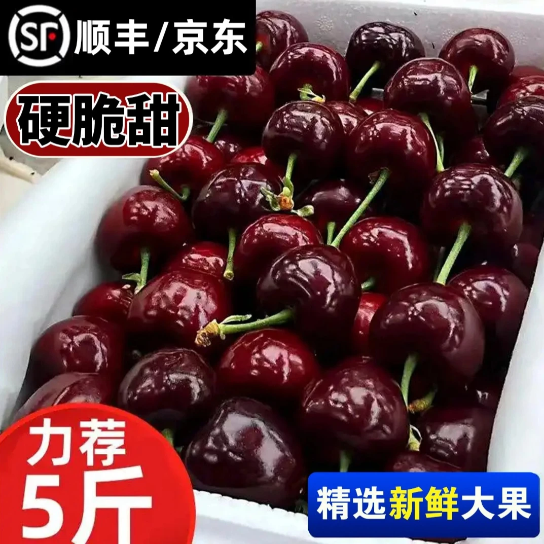 【顺丰/京东】智利空运车厘子桑提娜J-5J净重0.9-5斤内附果径卡-S5