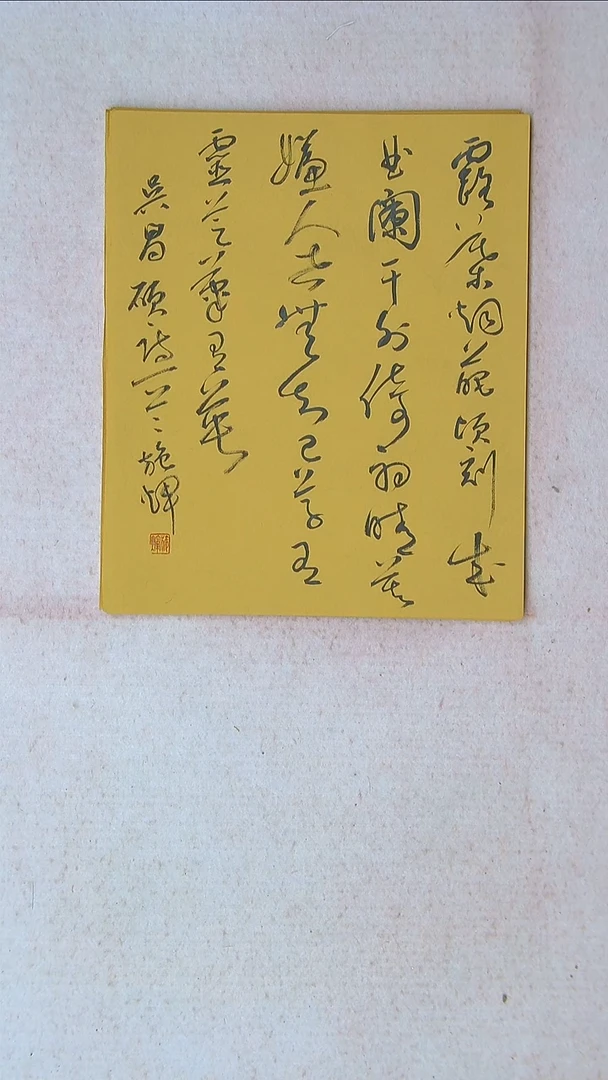 【闪购商品】书法施辉 江西新余34*27