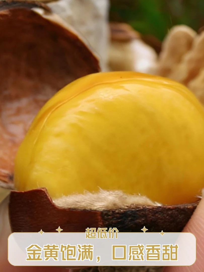 迁西板栗正宗迁西板栗新鲜原产地发货假一赔万检验主产区板栗