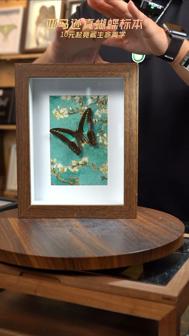 青凤蝶8寸复古框腊梅款