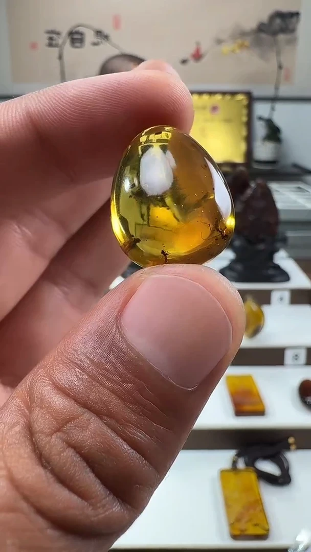 未镶嵌吊坠(不含链)虫珀蚂蚁随形