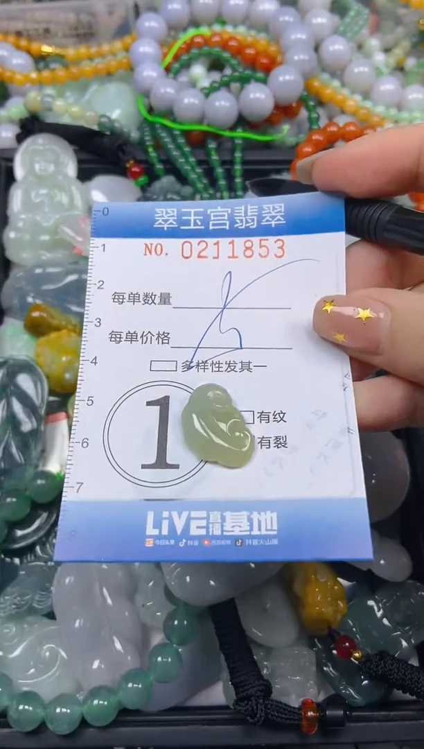 颈饰未镶嵌翡翠闪购C0211853
