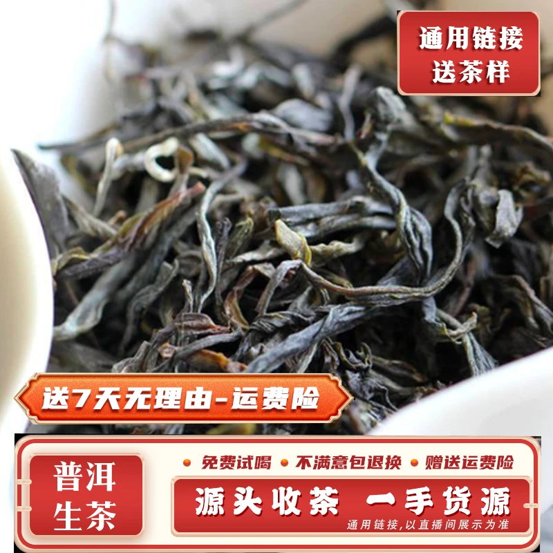 茂伦达 2024年昔归生散茶100克
