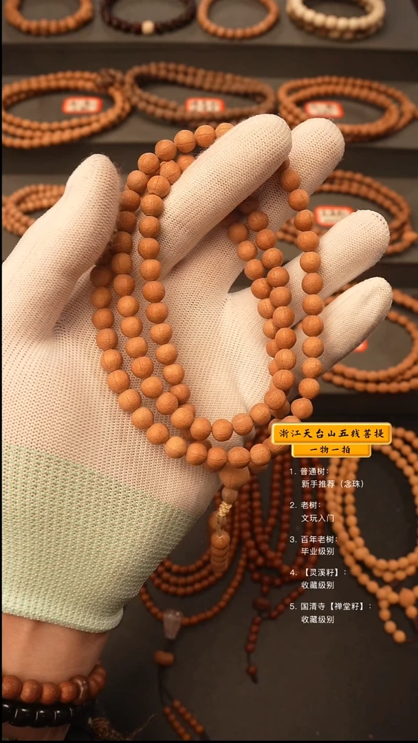 吊坠五线菩提m****my脖挂