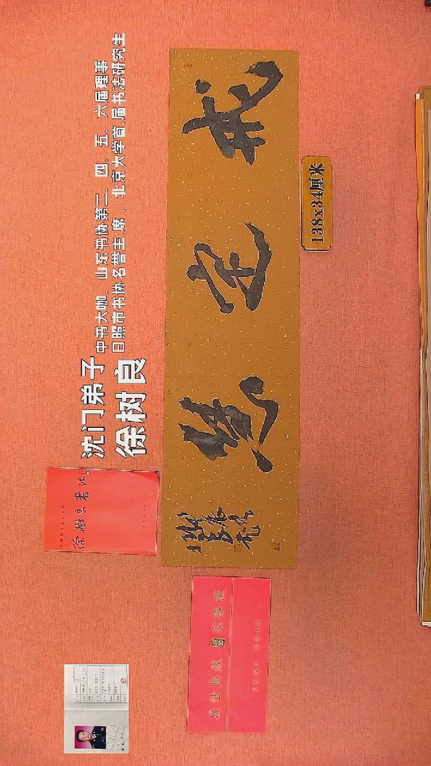 【闪购商品】书法54      徐树良书法作品