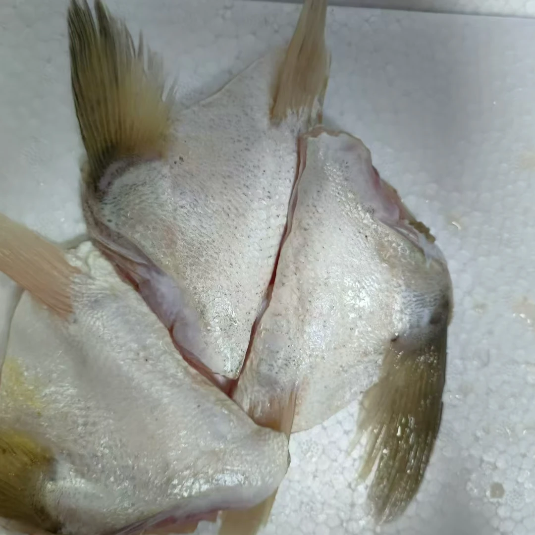 （全国多仓发货）新鲜七星鲈鱼鱼翅/500g一袋【到手4袋】精品海鲜