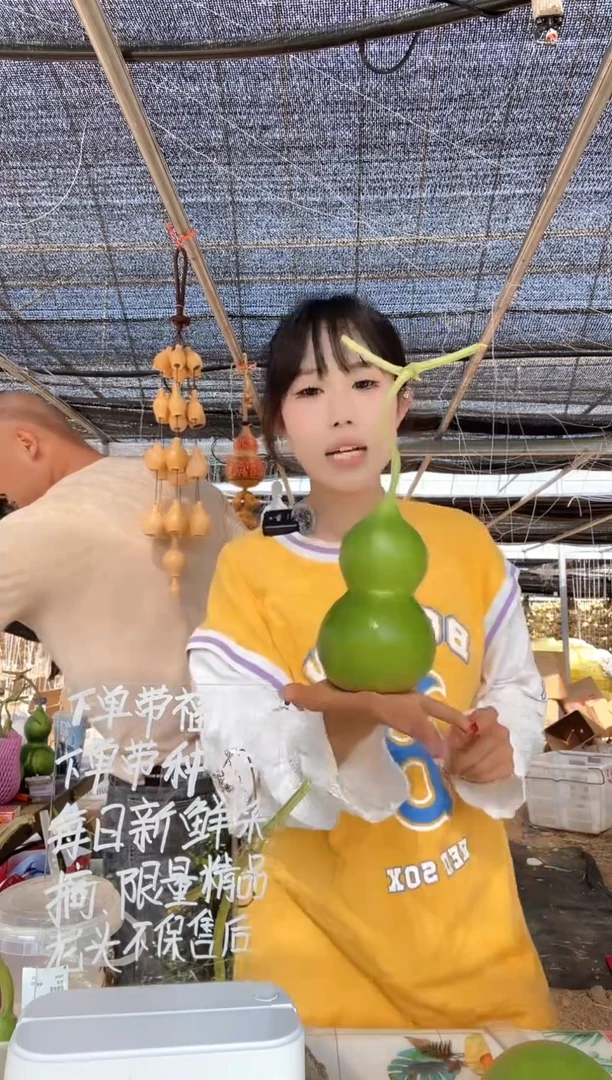 555天然葫芦摆件 一物一拍龙头不保售后