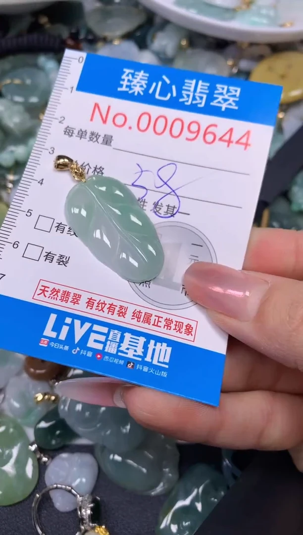 【闪购商品】翡翠颈饰未镶嵌含绳0009644