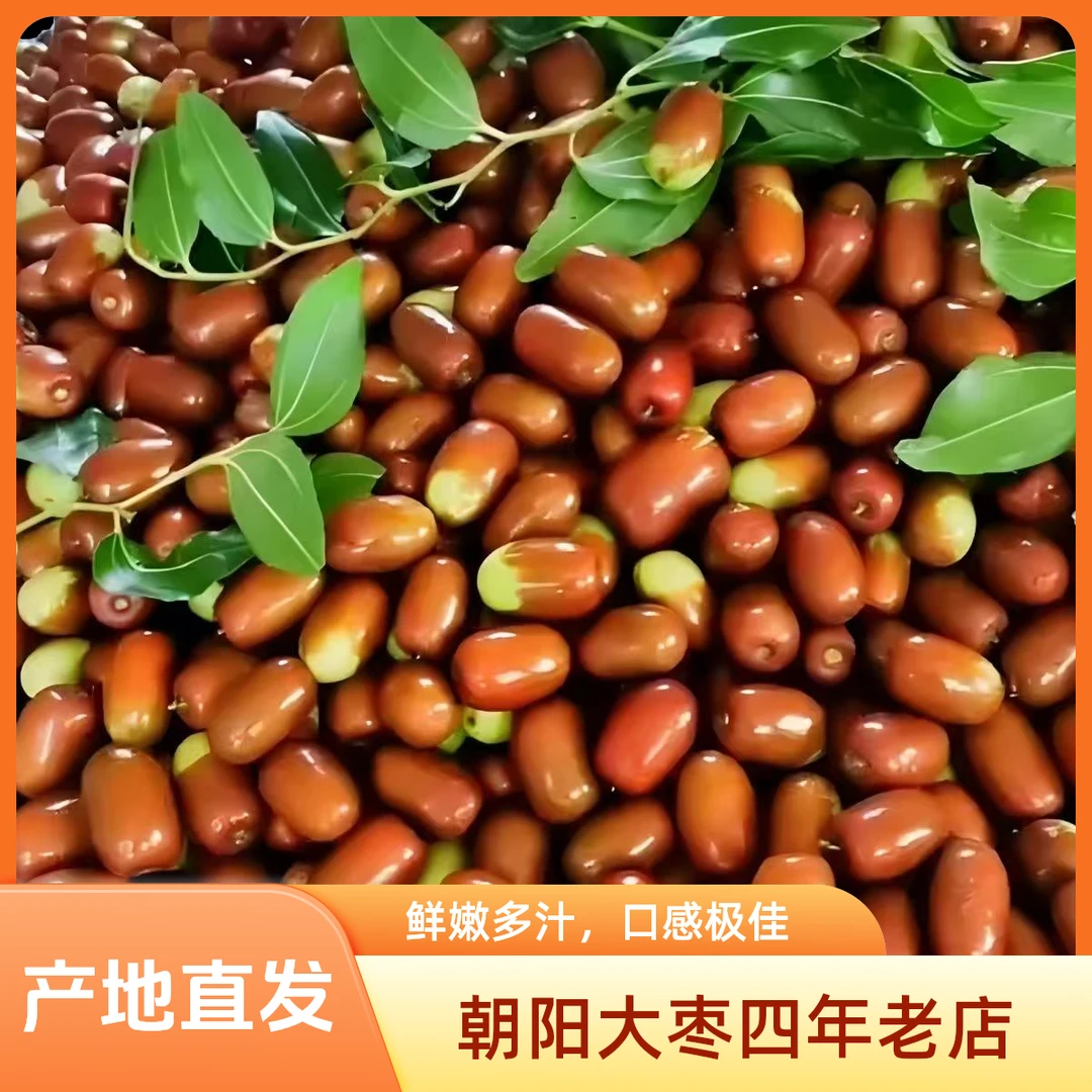 混果朝阳大枣老品种大中小都有九甜一酸产地直发全国包邮