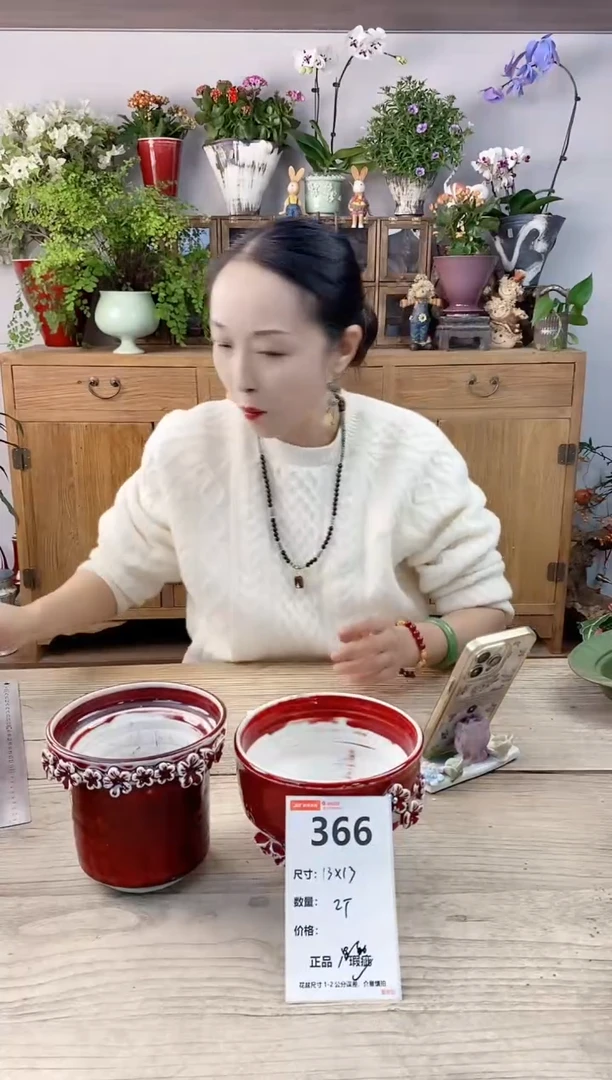 小玩子花盆直播编号366