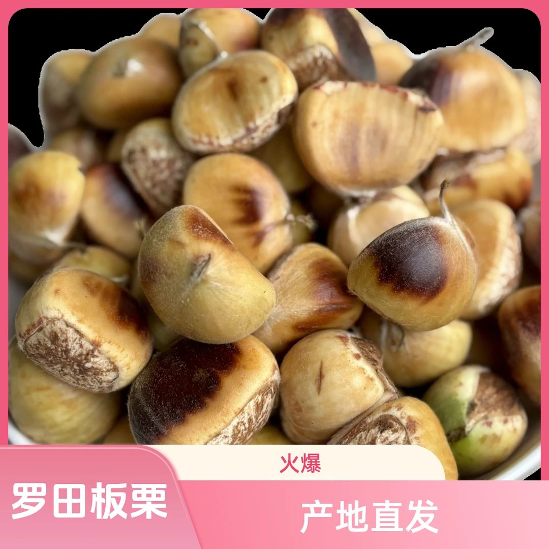 2025新鲜湖北罗田大别山板栗湖北特产带壳板栗