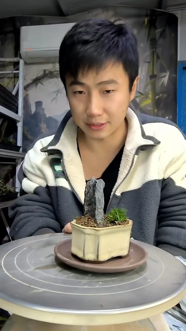 ?**?中青园艺一物一拍花47