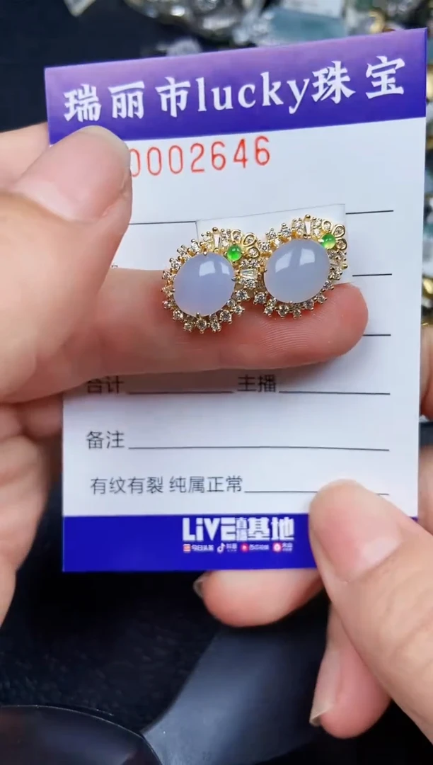翡翠银S925镶嵌颈饰2646
