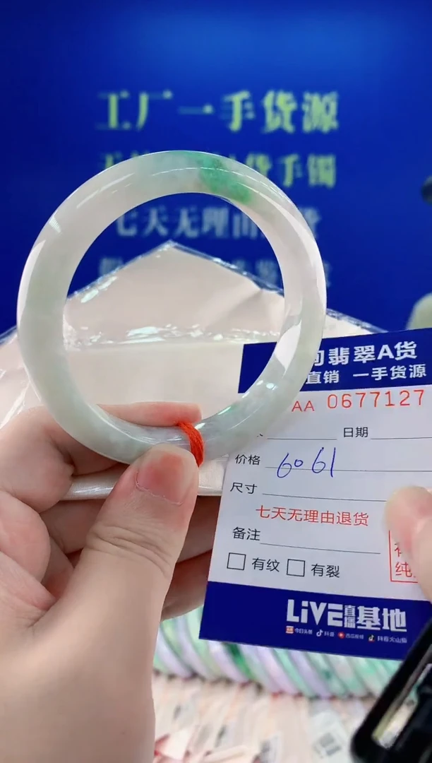 未镶嵌手镯翡翠27