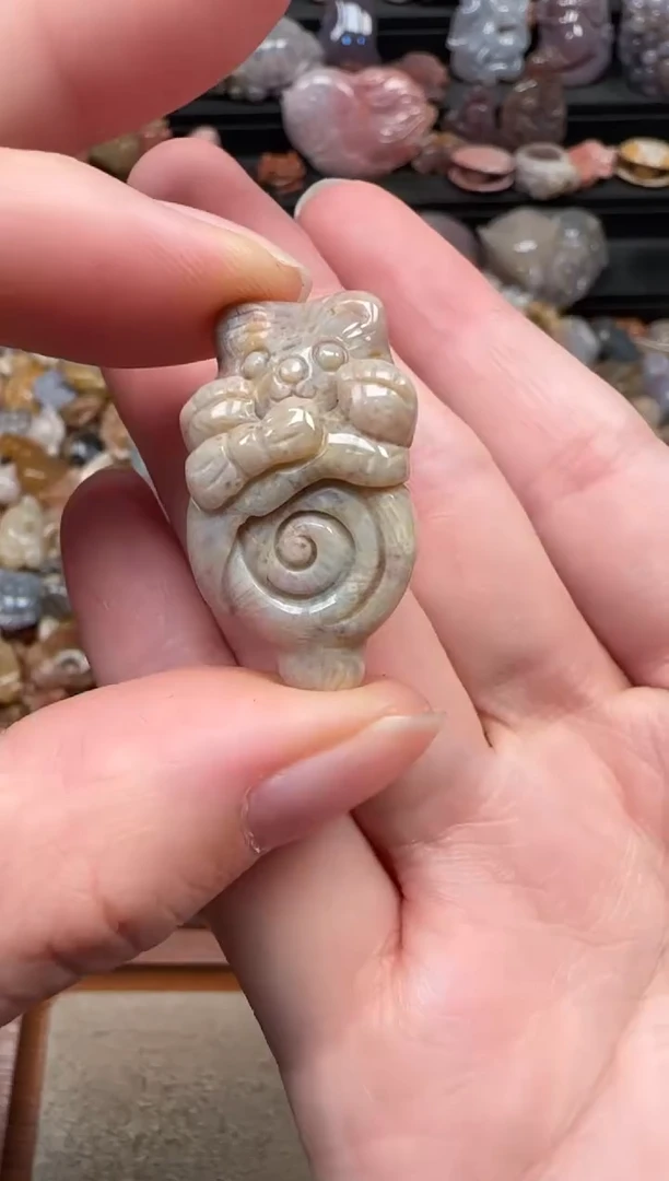 颈饰未镶嵌硅化珊瑚（珊瑚玉）474