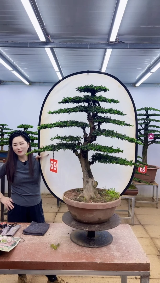 无花朵谍**重一物一拍，所见即所得
