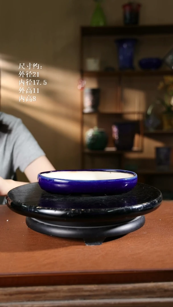 680    8.5寸椭圆盆
