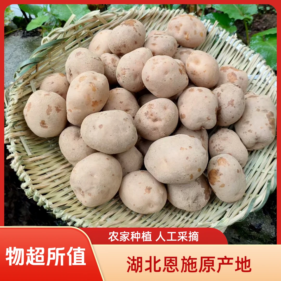 恩施土豆正宗马铃薯黄皮新鲜米拉洋芋特产批发蔬菜恩施小大洋芋