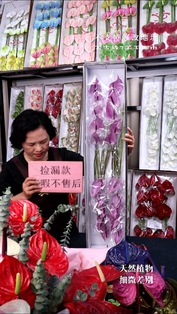 完全开放20支普利维雅无售后款