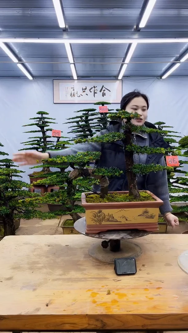 完全开放一物一拍，所见即所得