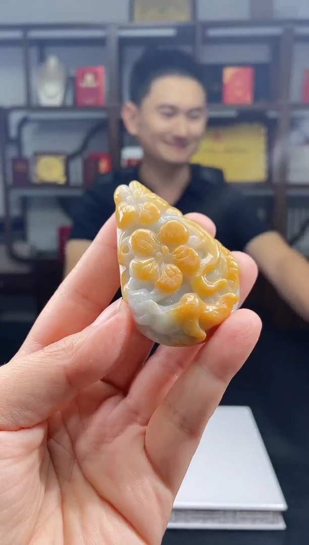 吊坠(不含链)未镶嵌翡翠天然A货翡翠多样性发其一JYZY-9.22-29