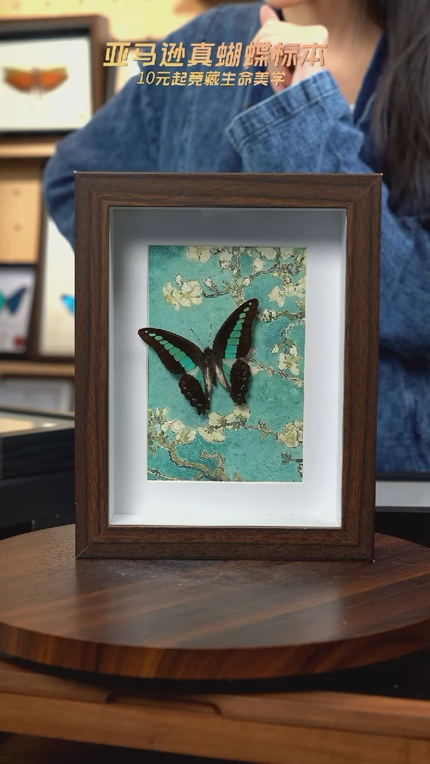 青凤蝶8寸复古框腊梅款