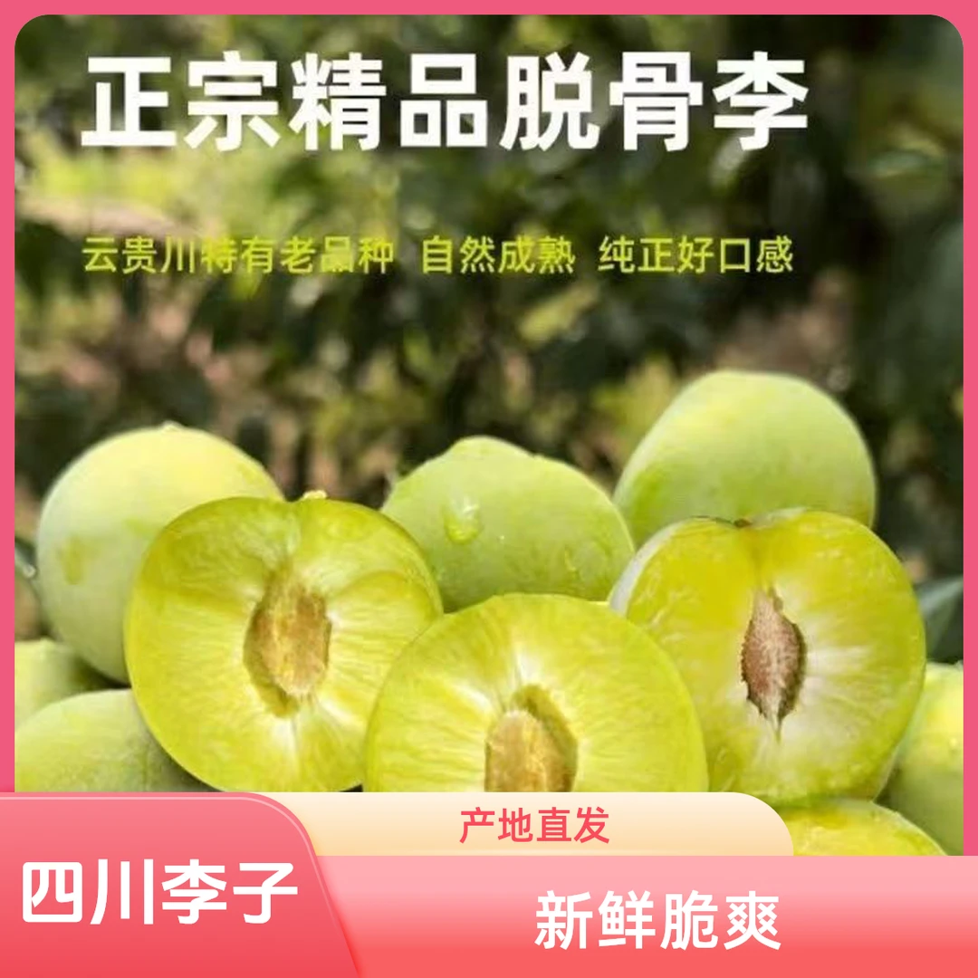 正宗四川特产脱骨李青脆李大果头茬现摘助农水果产地直发新鲜水果