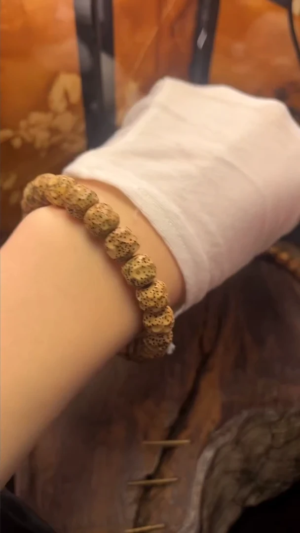 吊坠星月菩提精工级陈籽凹面无相手串（B）