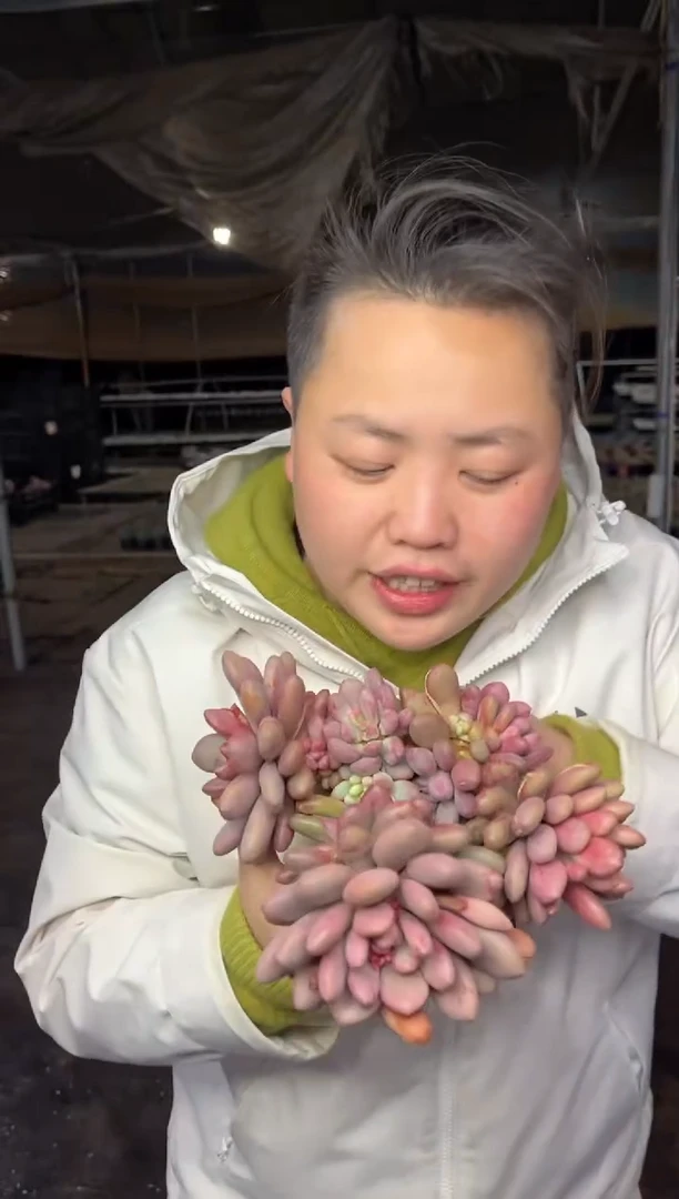 【闪购商品】49-桃心9.99