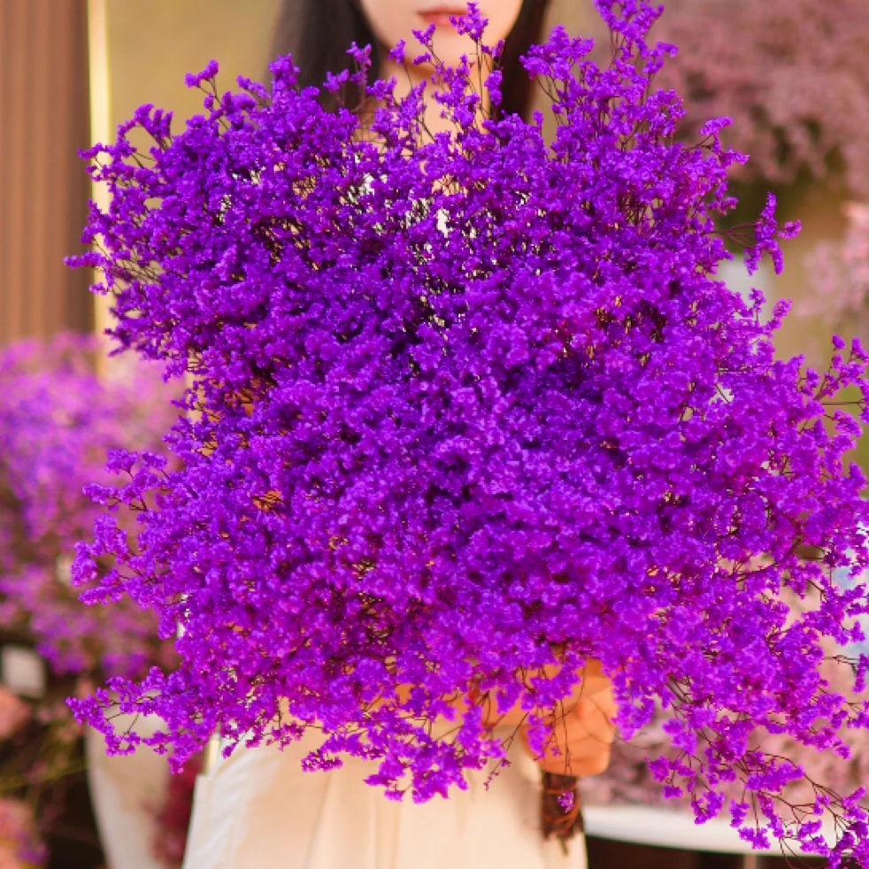 【买一扎送一扎】紫色永生水晶花长花期氛围鲜切花好养护干花满天星