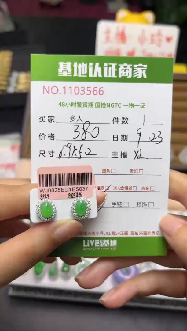银S925镶嵌翡翠耳饰多人