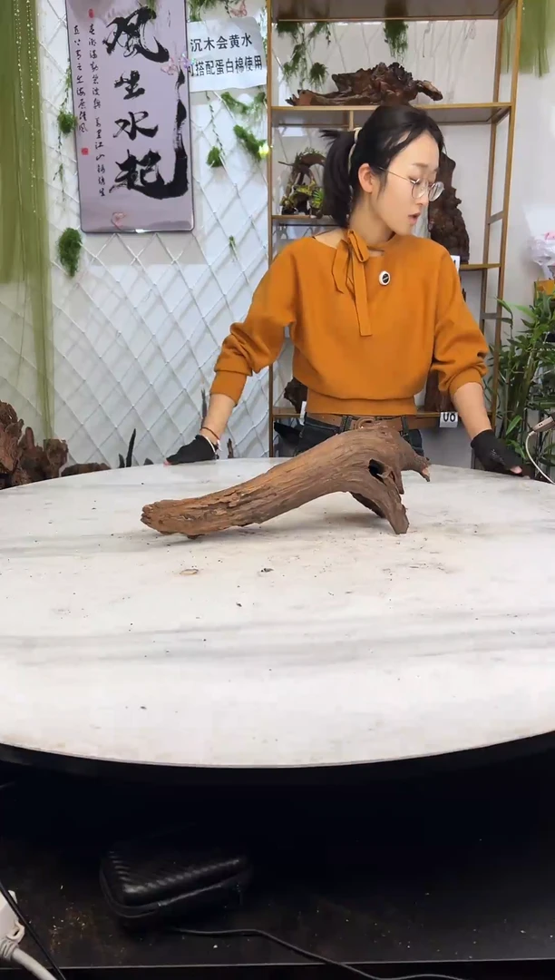 紫柚木沉木造景，会黄水，部分需泡沉